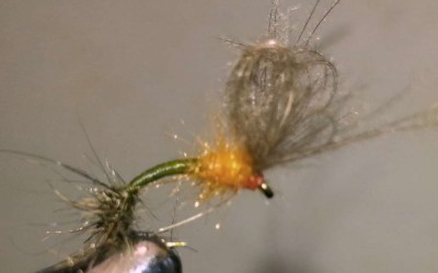 BWO Emerger