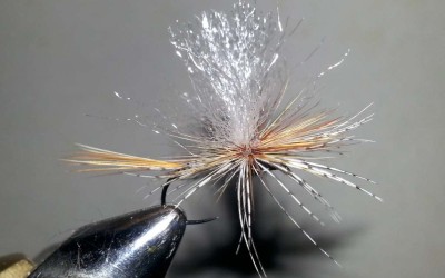 699 Parachute Variant.