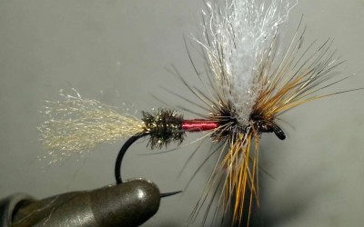 Royal Wulff Variant.