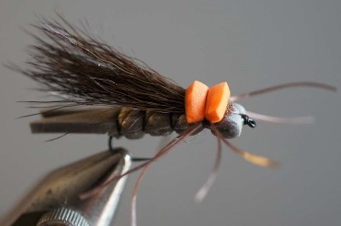 Big Stone Fly