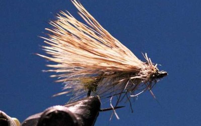 Fabio’s Dry Caddis.