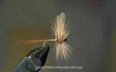 La serie Gallica di L. De Boisset.