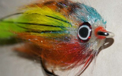 Alcune imitazioni di Aldo Bardeggia