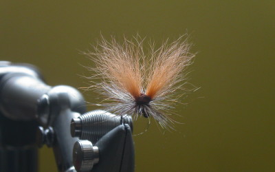 Alcune imitazioni di Dario Montesi