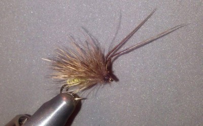 Alcune imitazioni di Diego Scaramuzza.