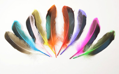 Serata Tintura con Angelo Rosorani e Fiorenzo Beldomenico.