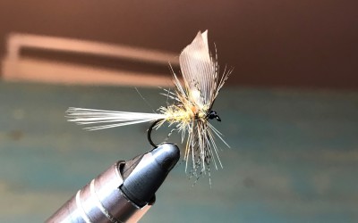 March Brown Morrish Brown.