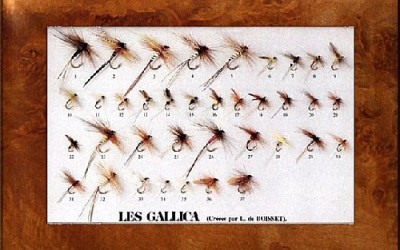 Serata Costruttori al Mosca Club Vallesina. Alfeo Busilacchio.