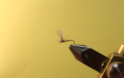 Serata Costruttori al Mosca Club Vallesina.  Giacomo Barchiesi.